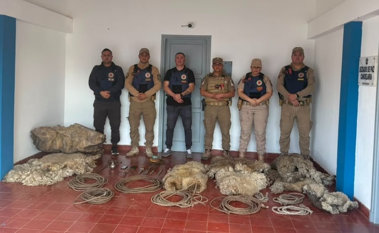 Los perros fueron rescatados en el operativo en el interior de Córdoba.
