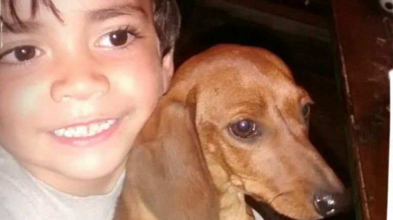 Los perros protagonistas.