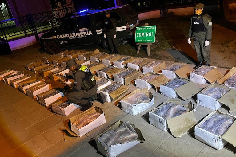 Los pescados eran trasladados en camiones.