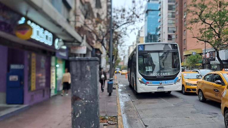 Los pocos trolebuses que se vieron en la calle este martes, vacíos. Foto: Juan Pablo Lavisse / El Doce.