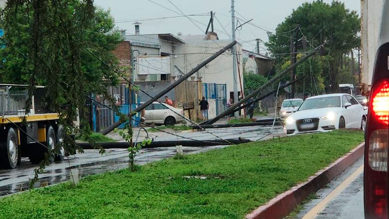 Los postes cayeron sobre una mano de avenida General Savio al 5000.