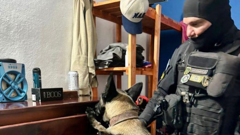 Los procedimientos se realizaron en dos barrios de la capital.