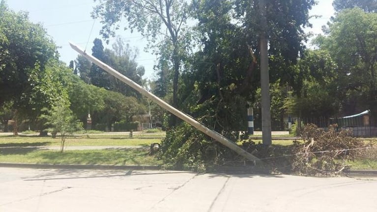 Los reclamos del día: postes caídos, baches y plaza sin luz