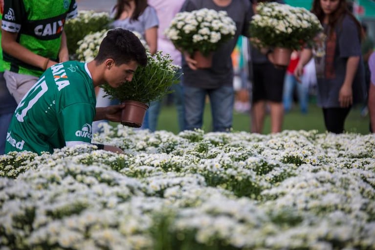 Los relatos escalofriantes de los sobrevivientes del Chapecoense