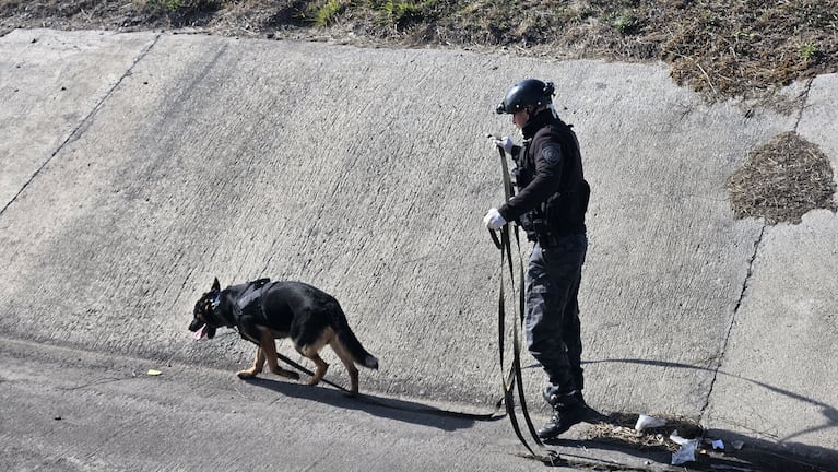 Los restos humanos fueron hallados en la zona norte de Córdoba.