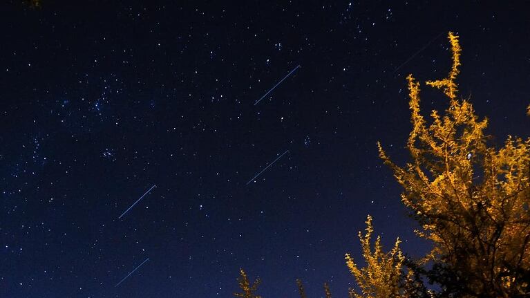 Los satélites de Musk en el cielo de Córdoba