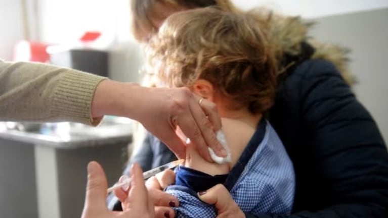 Los signos de sospecha de coqueluche son catarro y tos persistente e incontrolable.