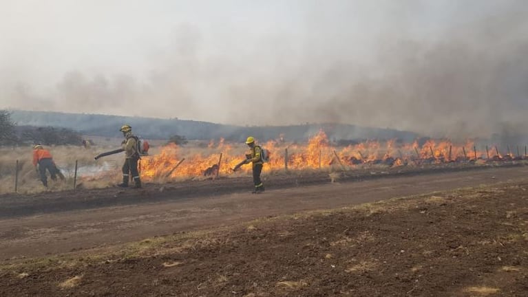 "Los terneros se quedan quietos y les pasa el fuego por encima"