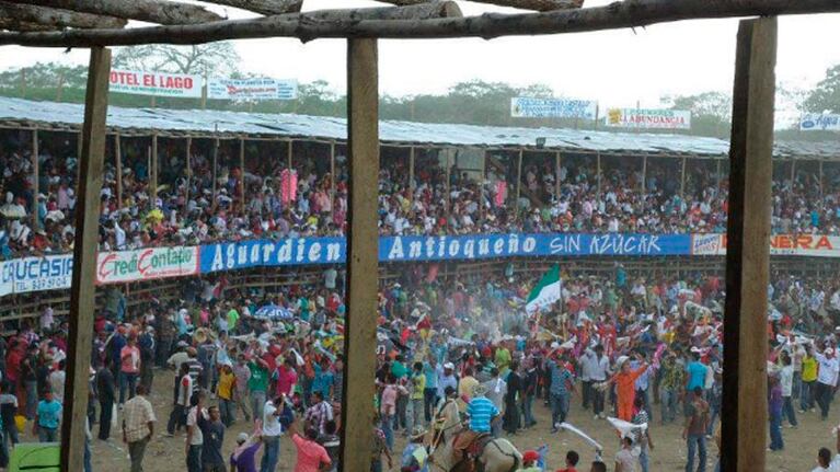 Los toros y la gente se mezclan en el redondel de arena.