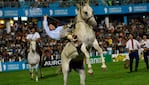 Los traumatismos de cráneo son una lesión frecuente en el deporte.