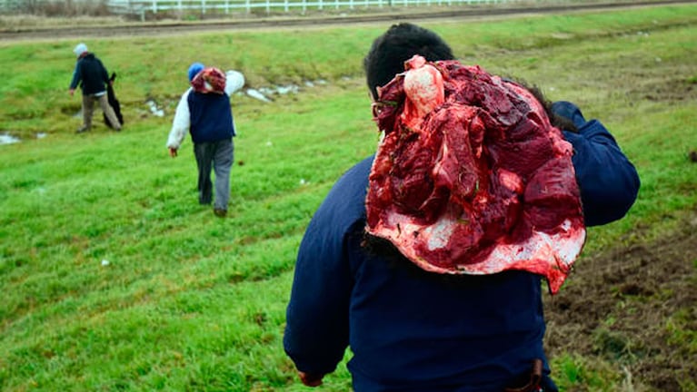 Los vecinos cargando la carne de los terneros muertos. Fotos: Juan José García.