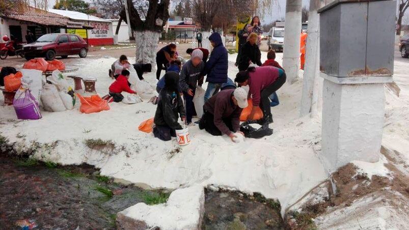 Los vecinos llegaron con bolsas para llevarse la mercadería. Foto: 98.7 Más Radio.