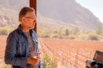 Los vinos del norte argentino, una garantía de placer y calidad.