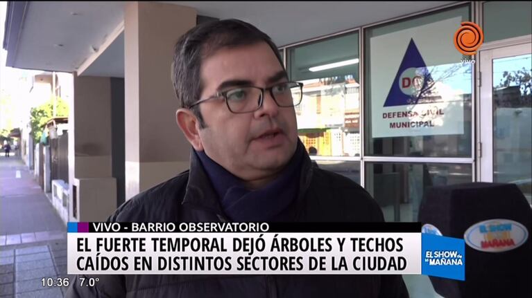 Luego del temporal, Defensa Civil retira árboles caídos