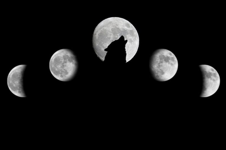 Luna llena de Lobo: cuándo verla y su significado