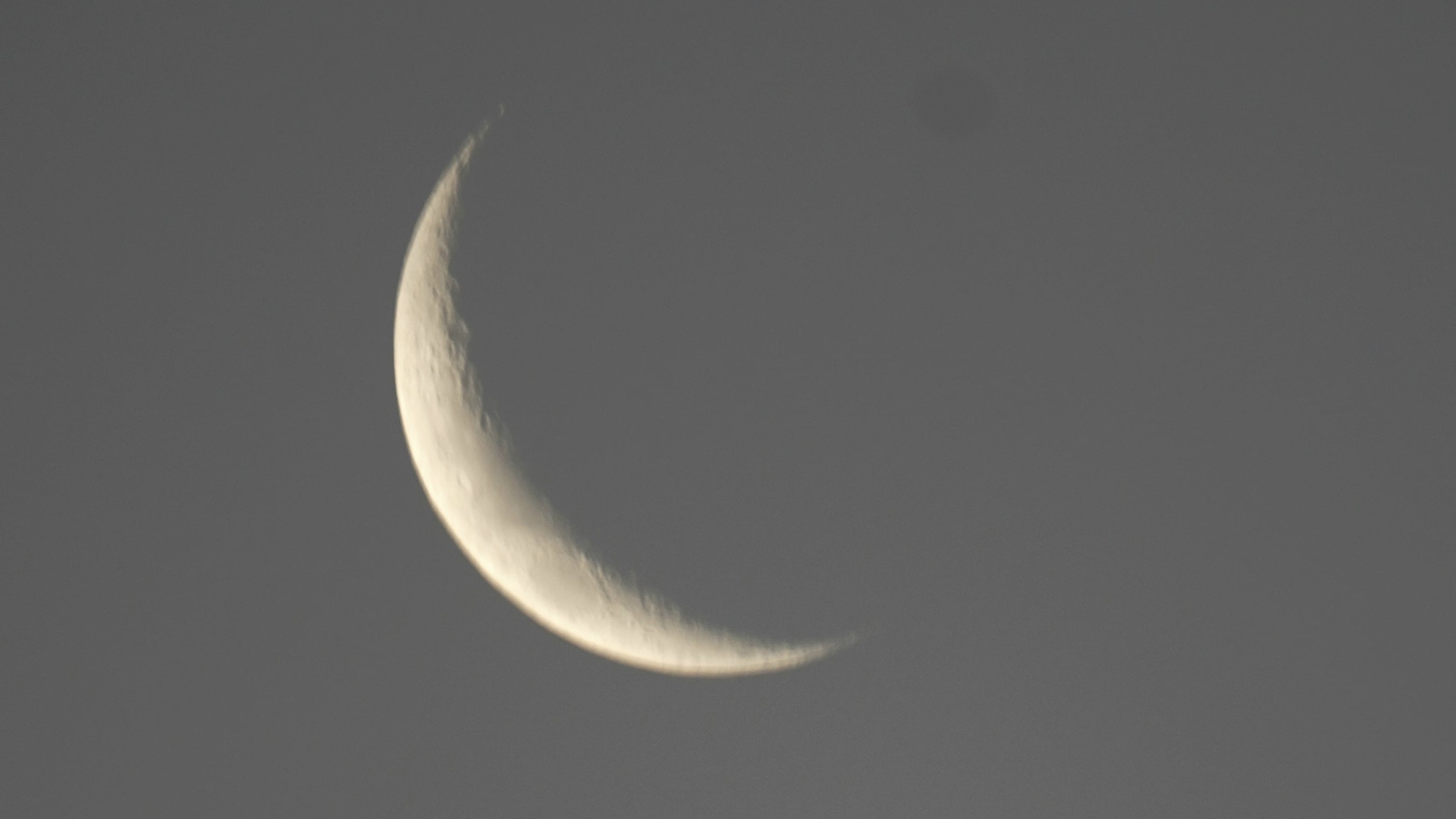 Luna y Venus, 1 de febrero de 2025. (Foto: Lucho Casalla) 