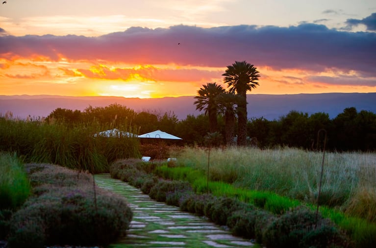 Macri eligió un paraíso campestre para reponer energías tras el balotaje. Foto: Estancia El Colibrí.