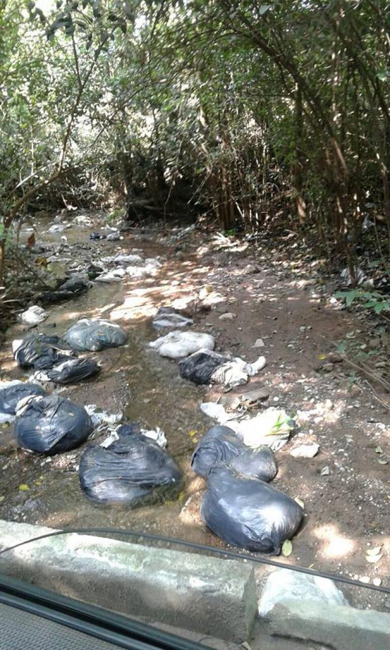 Maleza en el cementerio, plaza selvática y limpieza en Unquillo