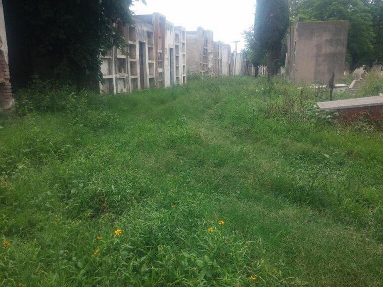 Maleza en el cementerio, plaza selvática y limpieza en Unquillo