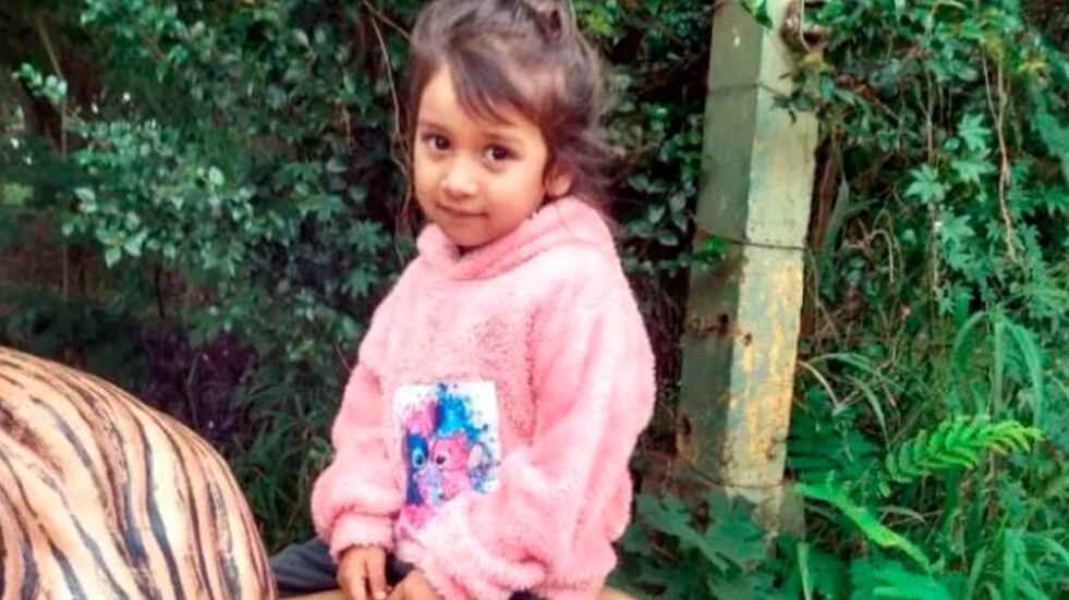 “Mami, no quiero ir a Paraguay”: la espantosa hipótesis detrás de la muerte de la nena en el río Paraná