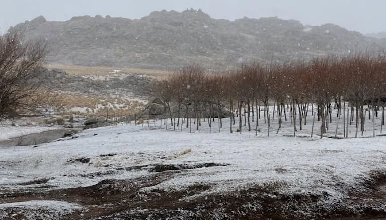 Manto blanco en las Altas Cumbres. (Foto: Multimedio Cemdo)