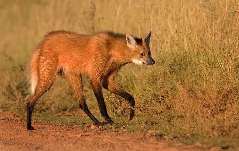 Mar Chiquita será el Parque Nacional más grande del país