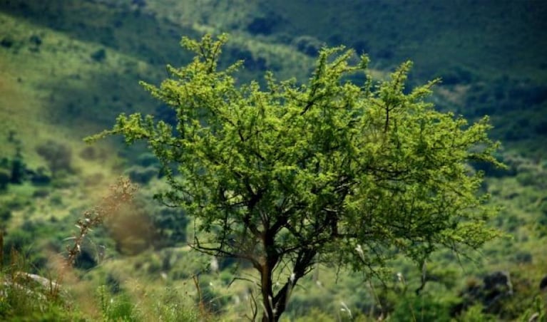 Mar Chiquita será el Parque Nacional más grande del país