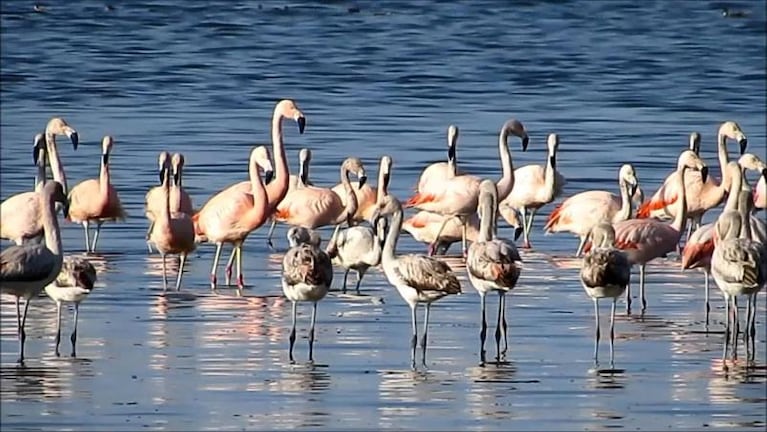 Mar Chiquita será el Parque Nacional más grande del país