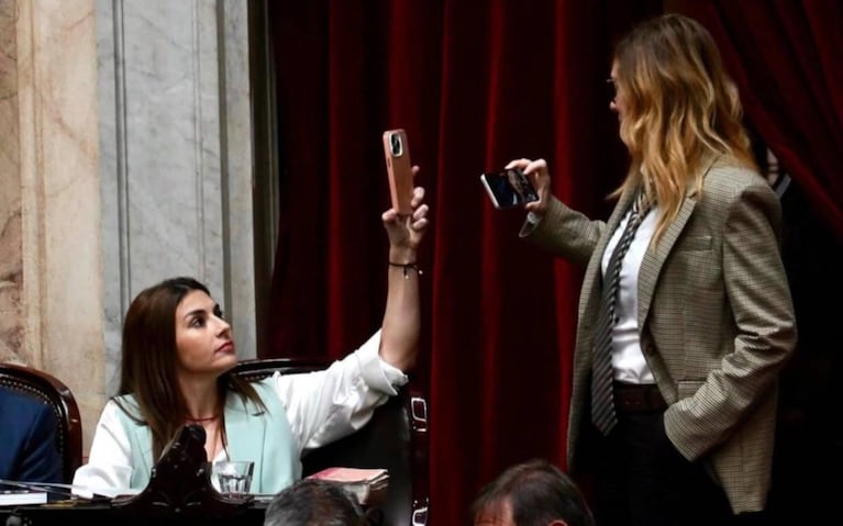 Marcela Pagano y el cruce con Lilia Lemoine en el congreso.