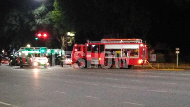 Martita Fort sufrió un accidente de tránsito: las fotos del choque