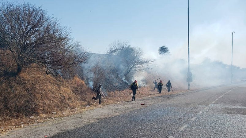 Más de 50 bomberos trabajaron en la contención del foco este viernes a la siesta. (Foto: Juan Pablo Lavisse/El Doce)