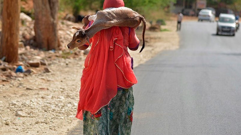 Más de un centenar de personas perdieron la vida. Foto: AFP 