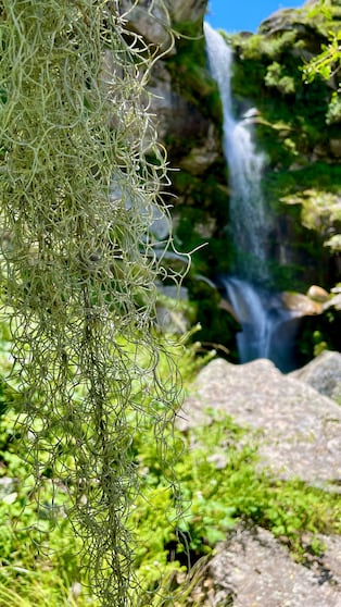 ¿Más postales? Sí, más postales.