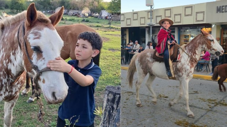 Matías se salvó de milagro pero su caballo murió electrocutado.