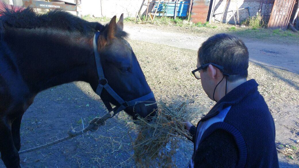 Matías y su momento pleno junto al caballo.