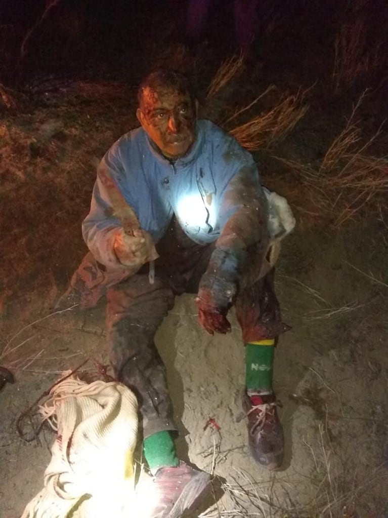 Mató a puñaladas a un puma para salvar su perro y su ganado