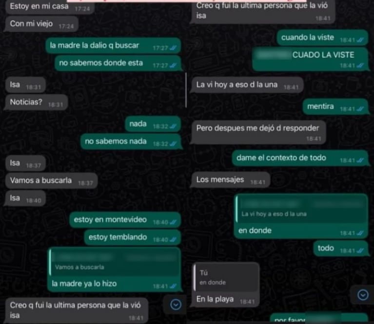 Mató a su ex y negó haberla visto: los macabros chats con las amigas