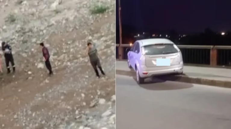 Mató a su mamá, convivió con el cadáver y se tiró de un puente cuando la Policía lo descubrió