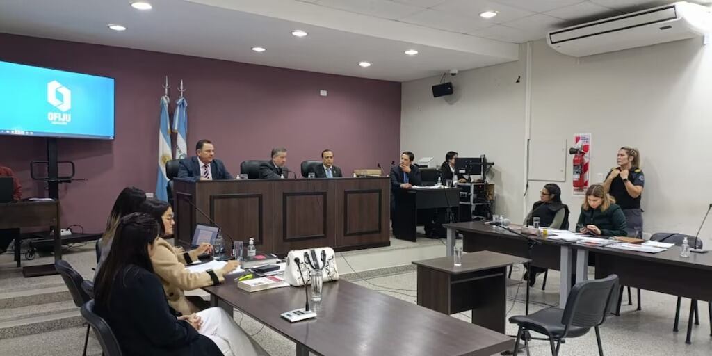 Mató a sus hijos de 5 y 8 años y recibirá una pena atenuada por un contexto de violencia de género