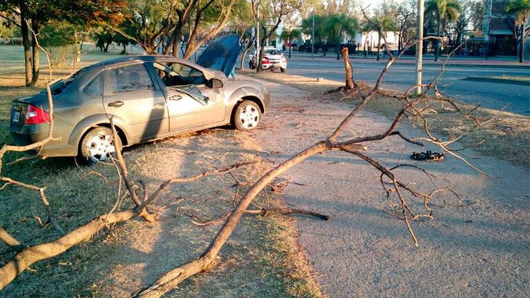 Mecánico usó el auto de un cliente y lo chocó