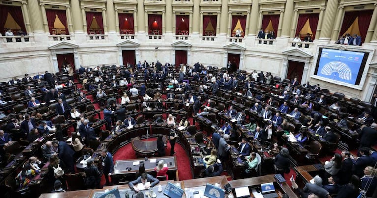 Media sanción en Diputados para dos leyes claves en salud y educación.