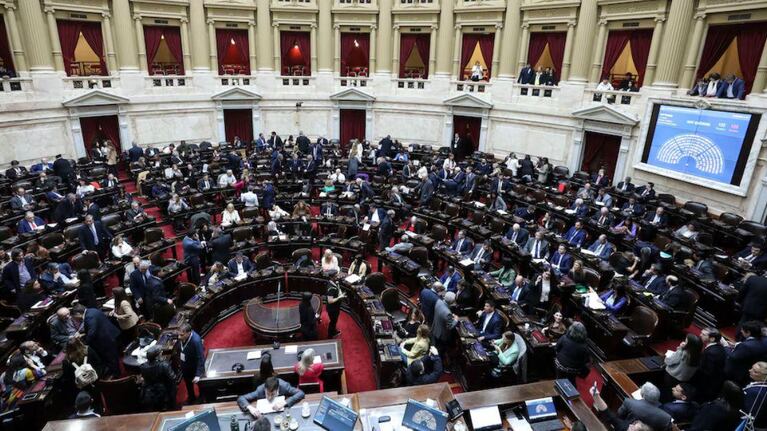 Media sanción en Diputados para dos leyes claves en salud y educación.