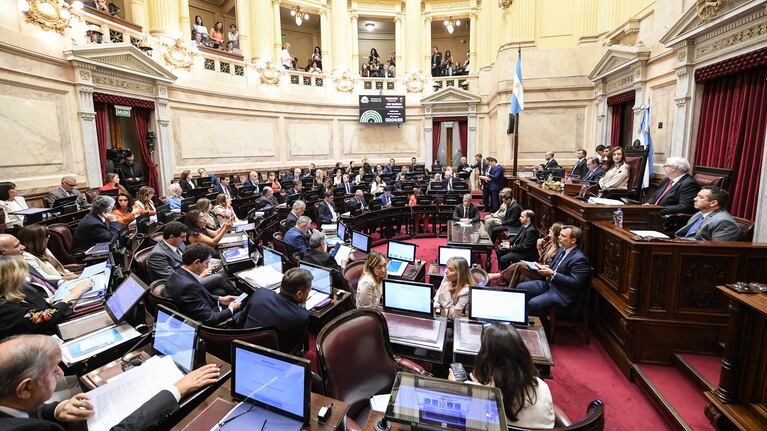 Media sanción para la reforma laboral.