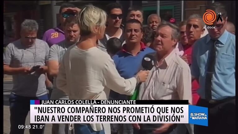 Megaestafa en Coniferal