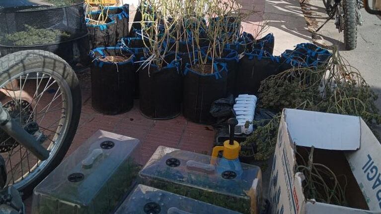 Megaoperativo en Córdoba: detuvieron a un joven con kilos de marihuana, plantas y varios elementos