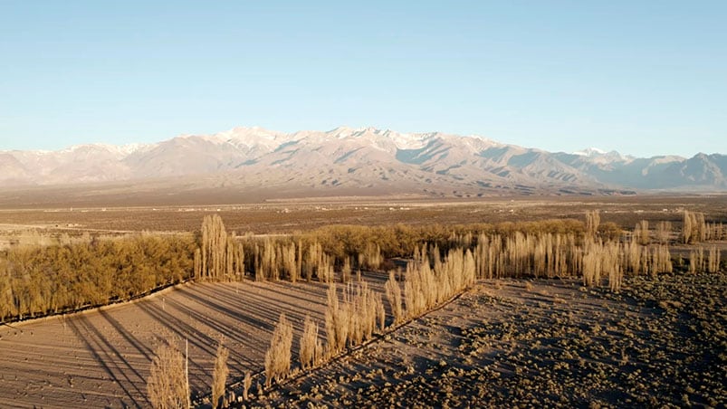 Mendoza, mucho más que una tierra de vinos.