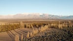 Mendoza, mucho más que una tierra de vinos.