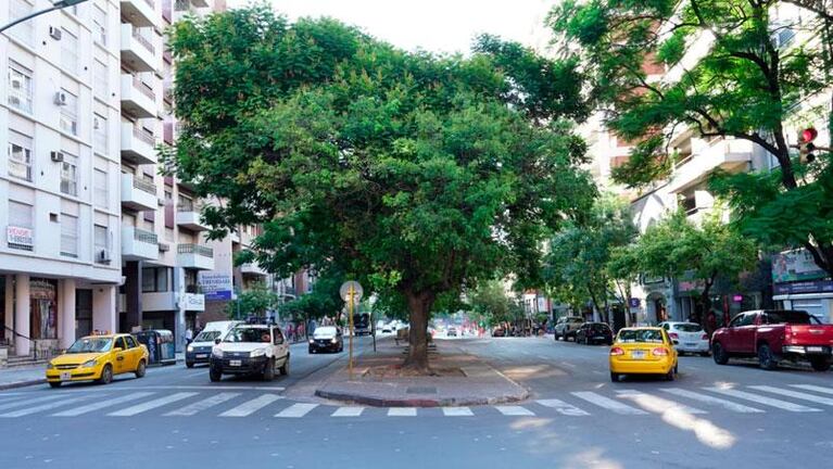 Mercado Sud: finalizaron las obras y los colectivos retoman sus recorridos