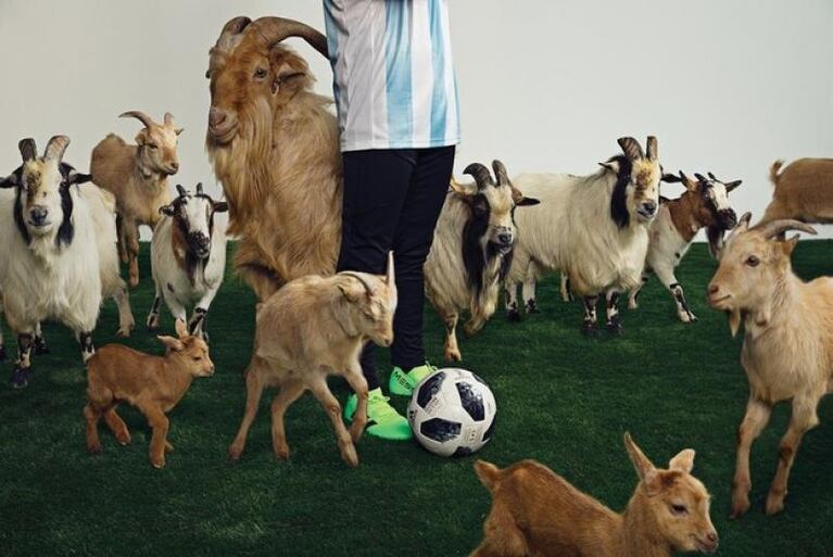 Messi presentó sus nuevos botines rodeado de cabras 