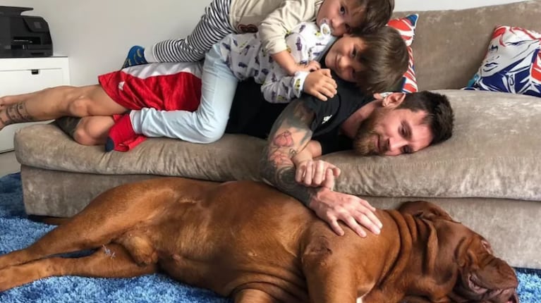 Messi reveló cómo está y a dónde vive su perro Hulk